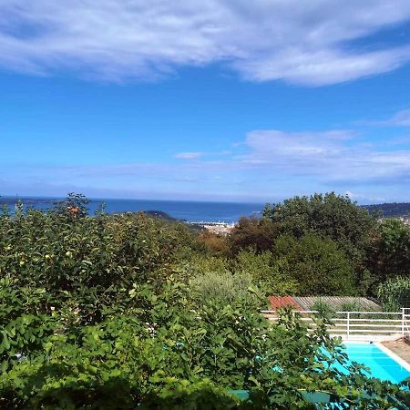 Apartments Ficur With Swimming Pool & Grill, ポルトローシュ エクステリア 写真